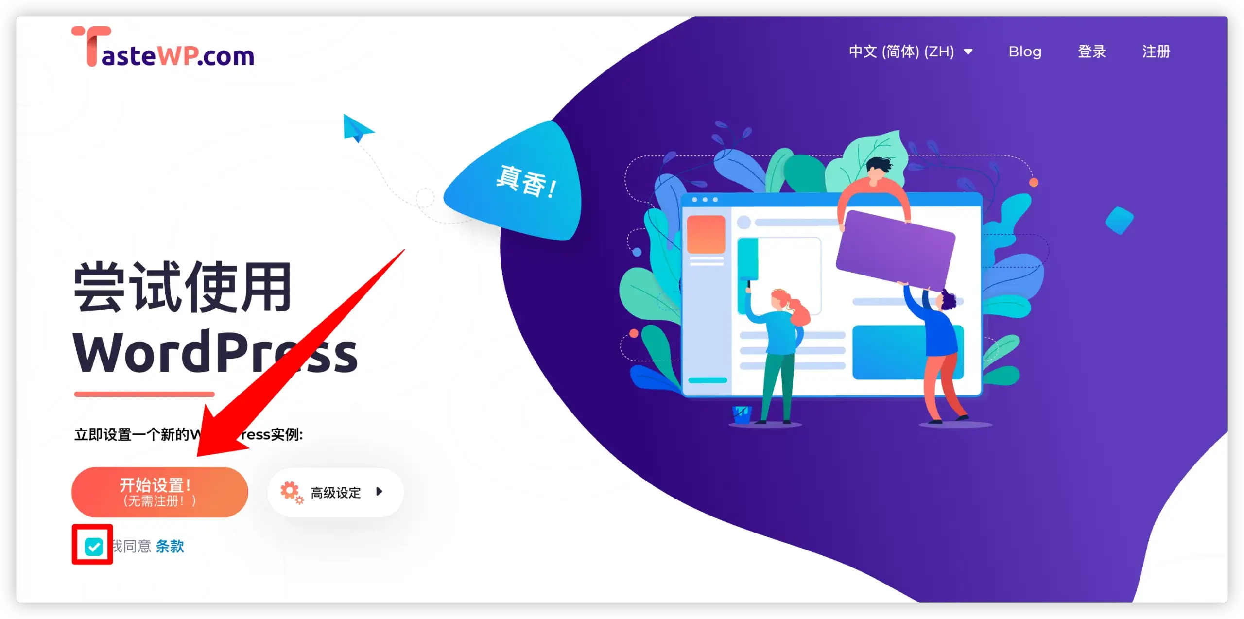 TasteWP 开始设置