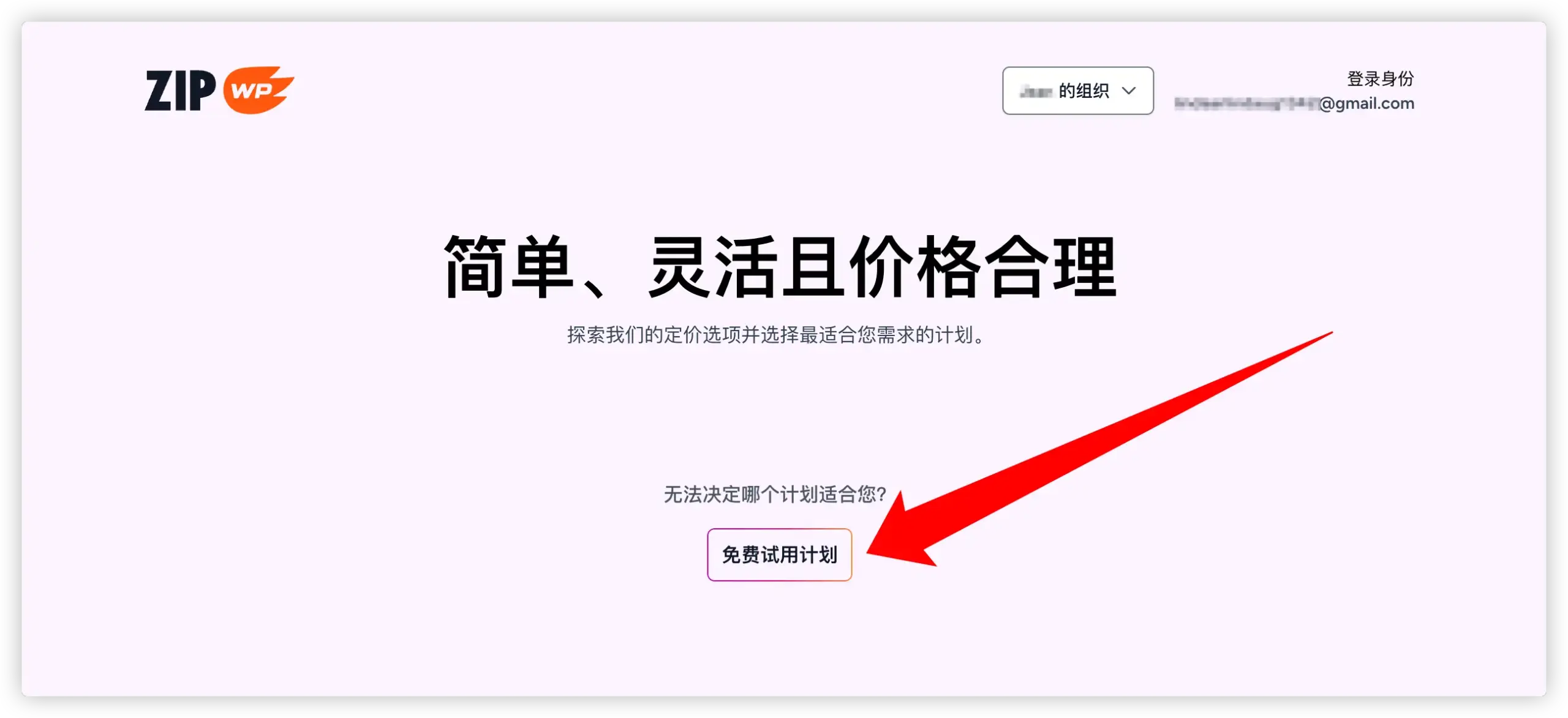 选择付费方案