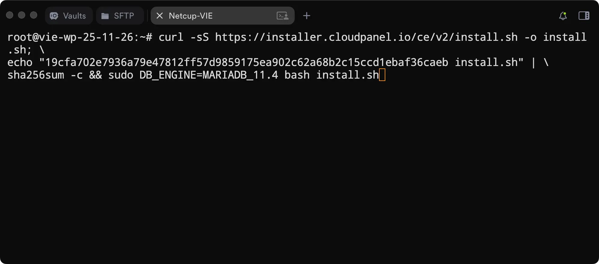 在服务器终端中执行 Cloudpanel 安装指令的操作示例，用于展示控制面板的安装步骤。