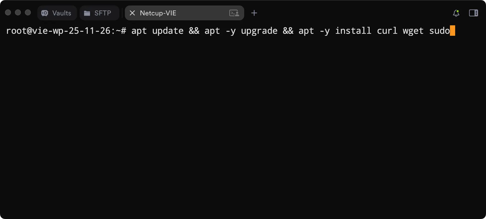 服务器执行系统更新并安装所需软件包的命令示例，用于展示基本环境初始化步骤。