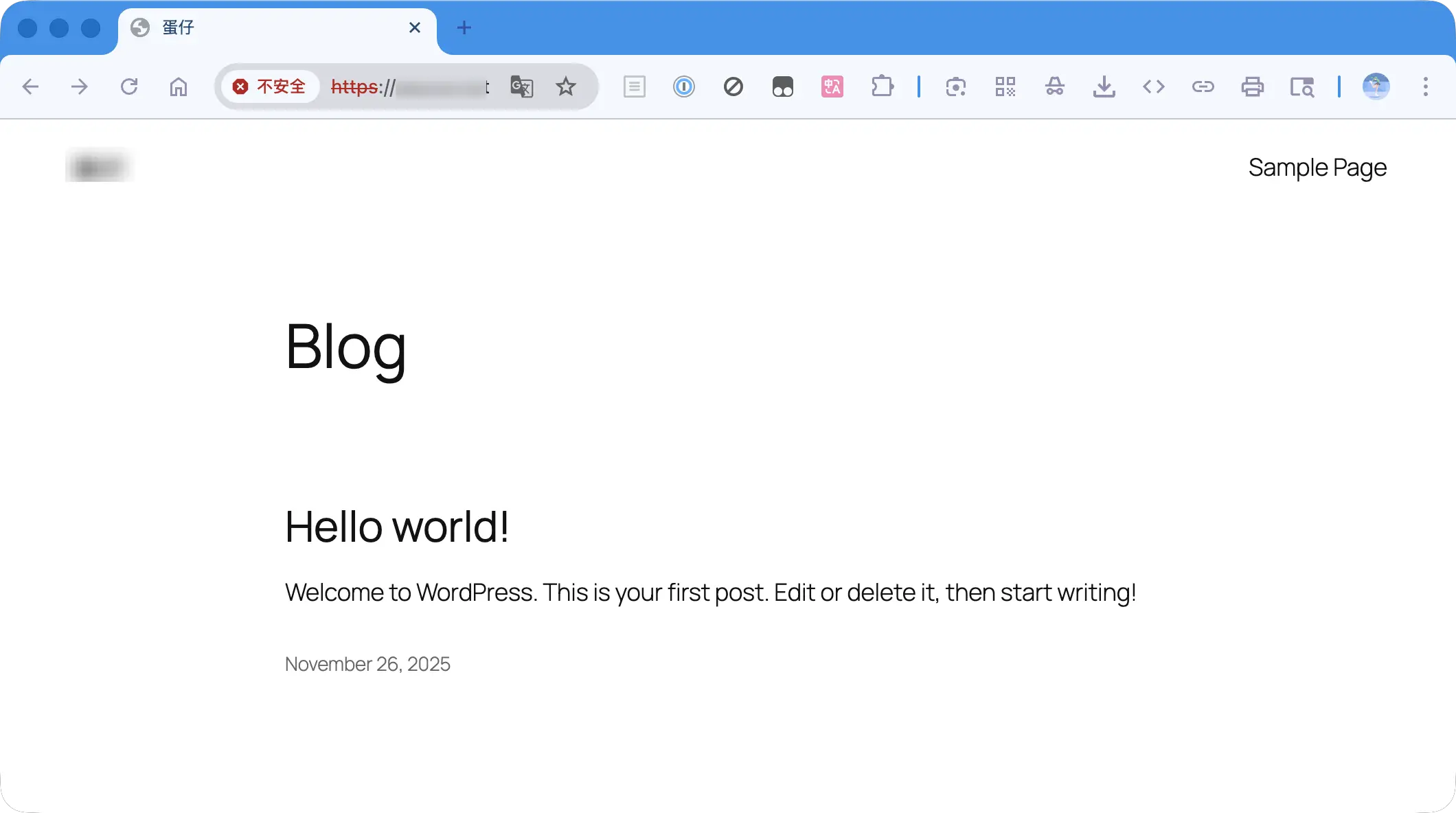 过浏览器访问刚刚搭建完成的 WordPress 网站的页面截图，用于展示站点已能正常打开。