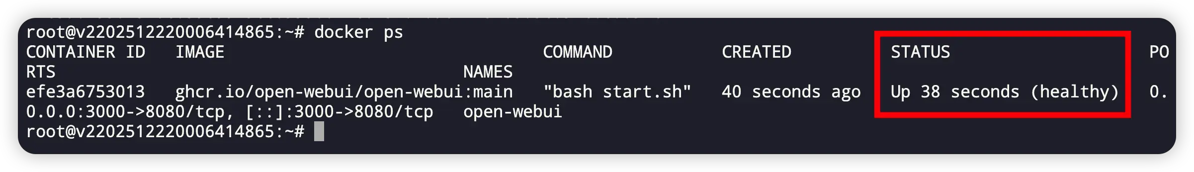 通过 Docker 或终端命令查看 Open WebUI 运行状态的示意图，展示容器是否正常启动与运行。