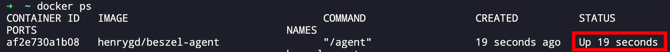 通过执行 docker ps 命令确认容器是否处于正常运行状态的终端界面示意图。