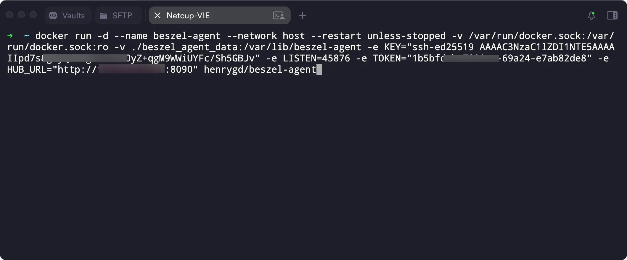 在 VPS 服务器上执行 docker run 命令，启动 Agent 容器的终端操作界面示意图。