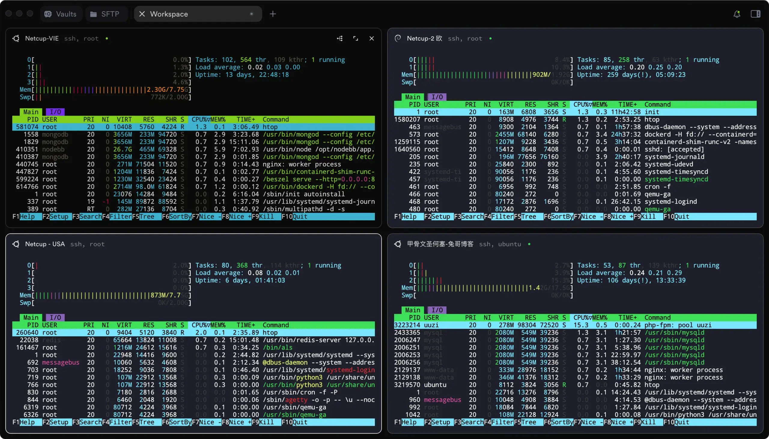 通过 Termius 同时打开多个窗口，分别连接不同 VPS 并运行 htop 查看服务器实时状态的操作示意图。