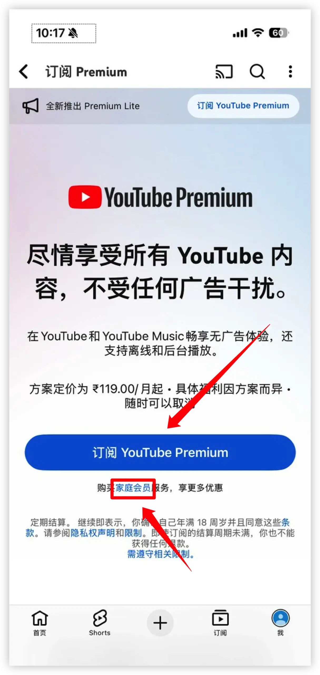 在 YouTube Premium 订阅页面中选择并订阅个人方案的操作界面示意图。